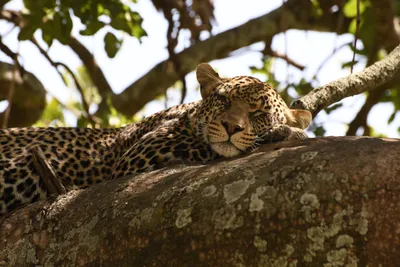 DSC_3985 (Large).JPG